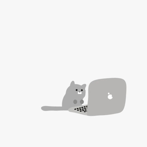 Multimedia Designer | gif6